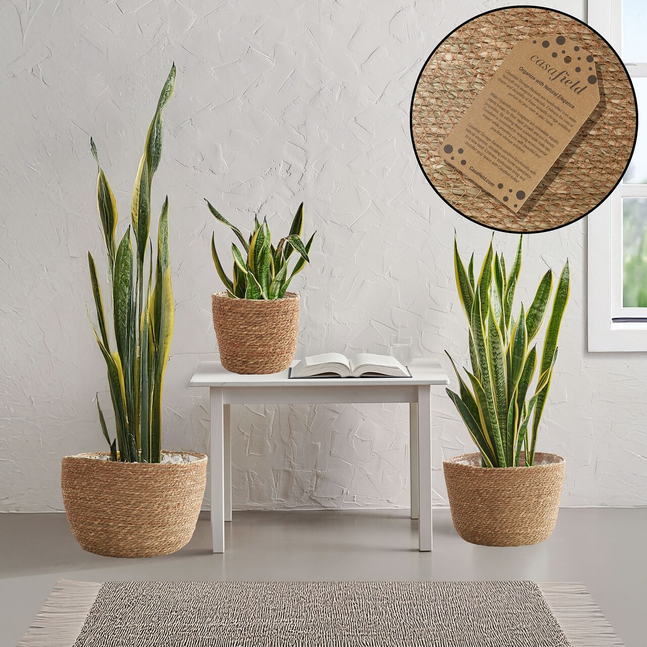 3pc Seagrass Planter Baskets with Liners, Indoor Plant Flower Pot Covers